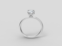 Load image into Gallery viewer, Clara